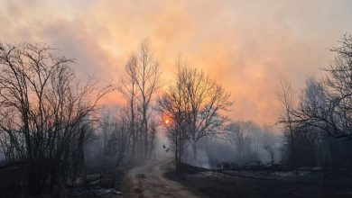 Photo of CHERNOBYL, incendi vicino alla centrale: RADIAZIONI alle stelle