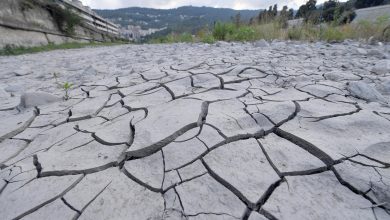 Photo of Siccità, stiamo vivendo la Primavera più secca degli ultimi 60 anni