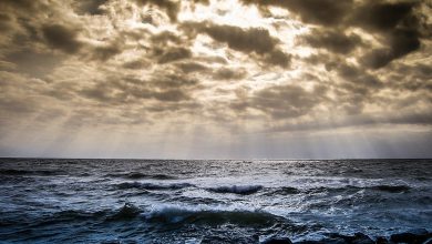 Photo of OCEANI CALDI ed EVENTI ESTREMI: un legame strettissimo