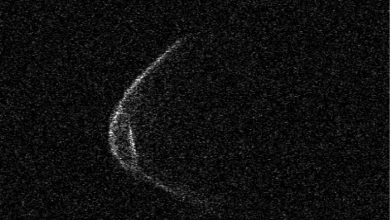 Photo of ASTEROIDE in avvicinamento alla Terra: «sembra indossi la mascherina»