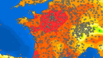 Photo of Caldo anomalo in Francia: superati i 26 gradi a Parigi