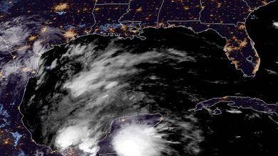 Photo of La TEMPESTA TROPICALE AMANDA mira il Golfo del Messico: la situazione