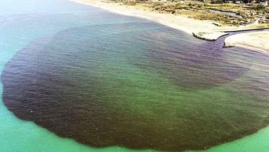 Photo of Finito il lockdown, il mare di Castel Volturno diventa nero