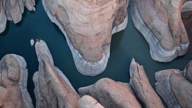 Photo of Stati Uniti, il sud-ovest preda di una mega siccità lunga 20 anni: i dettagli