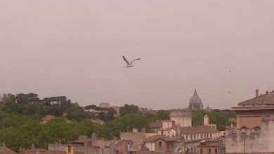 Photo of Terremoto Roma: scossa di magnitudo 2.9 ai Castelli Romani nella notte