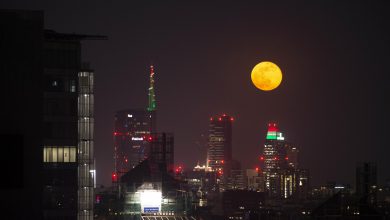 Photo of L’ultima Superluna del 2020 dà spettacolo [FOTO e VIDEO]
