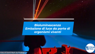 Photo of Bioluminescenza, la spiaggia si illumina di notte. L’origine del fenomeno [VIDEO]