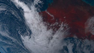Photo of AUSTRALIA colpita da una TEMPESTA: piogge e venti intensi, fa paura anche il mare [VIDEO]