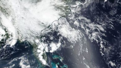 Photo of L’ex tempesta BERTHA sugli Stati Uniti: forti piogge nella Carolina del Sud