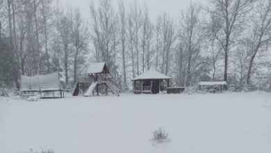 Photo of Ondata di FREDDO sull’Europa: temperature vicine allo zero e NEVE