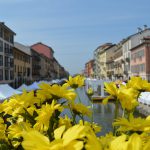 meteo sole milano primavera