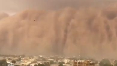Photo of Tempesta di SABBIA inghiotte la capitale della NIGERIA [VIDEO]