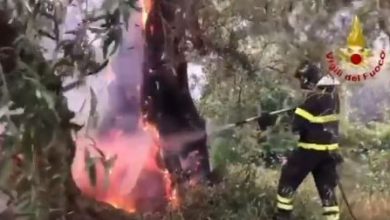 Photo of CALDO senza precedenti e forte SCIROCCO: il rischio INCENDI rimane molto alto