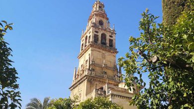 Photo of Ondata di caldo in SPAGNA, termometro vicino ai 40 GRADI in Andalucia