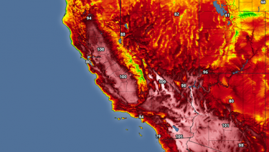 Photo of CALDO estremo negli USA: l’allerta riguarda oltre 20 MILIONI di persone