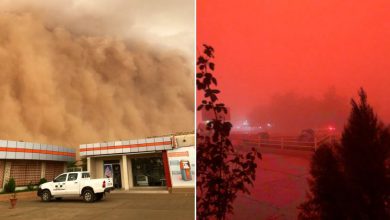 Photo of TEMPESTA di sabbia da film apocalittico sulla capitale della Nigeria [VIDEO e FOTO]