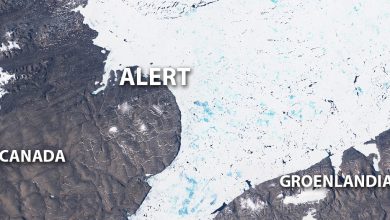 Photo of CALDO record per giugno ad ALERT, il centro abitato più a nord del Pianeta