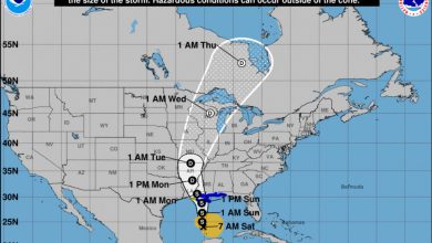 Photo of CRISTOBAL: la TEMPESTA TROPICALE lunedì toccherà le COSTE USA
