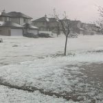 tempesta Calgary