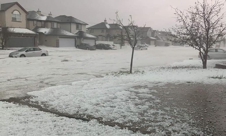 tempesta Calgary