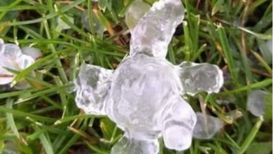 Photo of VIDEO – MALTEMPO in Piemonte e Veneto: GRANDINE DISTRUTTIVA