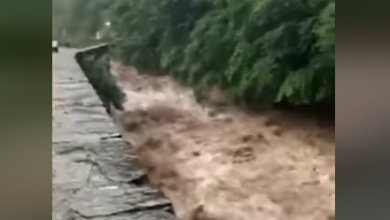 Photo of VIDEO – MALTEMPO, in Toscana NOTEVOLE quantità di PIOGGIA: i dati
