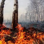 Incendi spuntano dai ghiacci dell'Artico