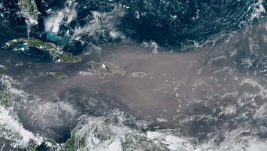 Photo of Cielo arancione ai CARAIBI: è arrivata la SABBIA del SAHARA