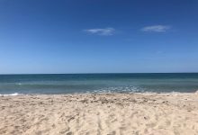 Photo of Studio NASA: il livello dei mari cresce più del previsto, allarme per il clima globale