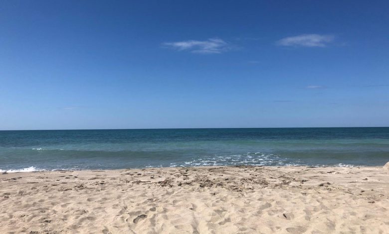 mare temperature