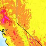 Allarme caldo negli Usa: in California punte fino a 42 gradi