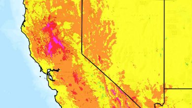 Photo of ALLARME CALDO negli Usa: in CALIFORNIA punte fino a 42 gradi