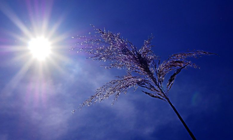 mascherine caldo sudore