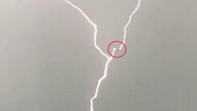 Photo of FULMINI contro un aereo: tre lampi lo colpiscono contemporaneamente [VIDEO]