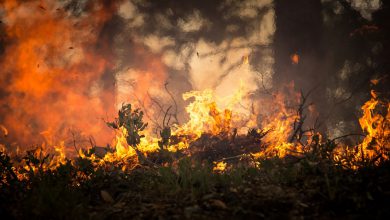 Photo of Aumenta il CALDO, cresce anche il PERICOLO INCENDI: le zone a rischio