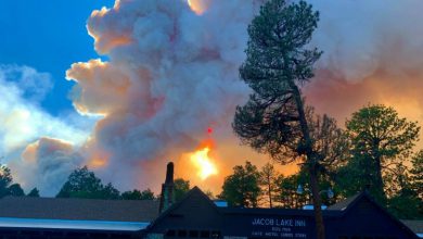 Photo of Vasti INCENDI in Arizona, chiuso parte del GRAND CANYON