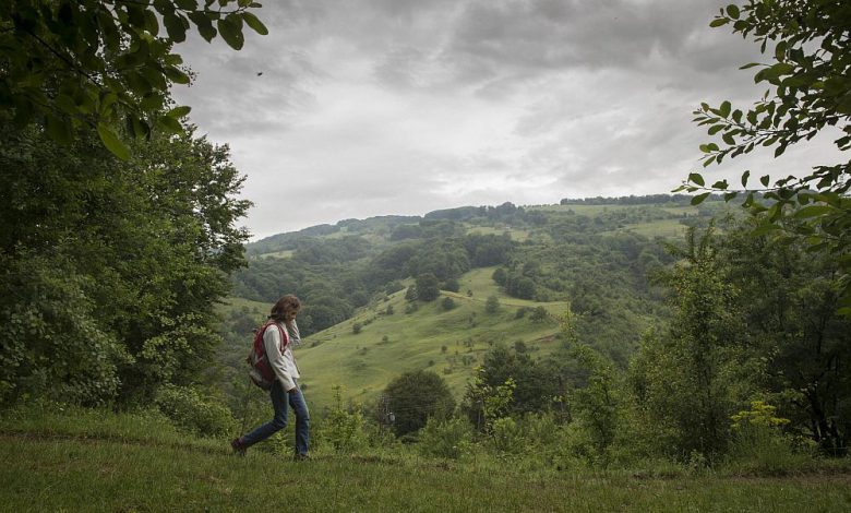 Dal caldo rovente a un clima più fresco