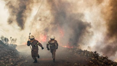 Photo of STATI UNITI meridionali tra FIAMME e MALTEMPO
