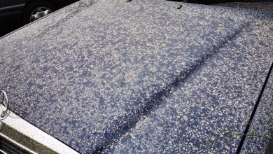 Photo of CANARIE e CAPO VERDE sommersi dalla SABBIA SAHARIANA