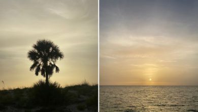 Photo of SABBIA del Sahara fino a CARAIBI e USA: la nube “GODZILLA” è un evento storico
