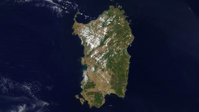 Photo of Invasione di CAVALLETTE in SARDEGNA: agricoltura in ginocchio