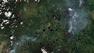 Photo of SIBERIA in fiamme: CALDO RECORD e continui INCENDI