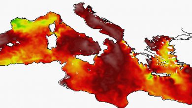 Photo of APICE del CALDO: la temperatura dell’acqua del MARE Mediterraneo