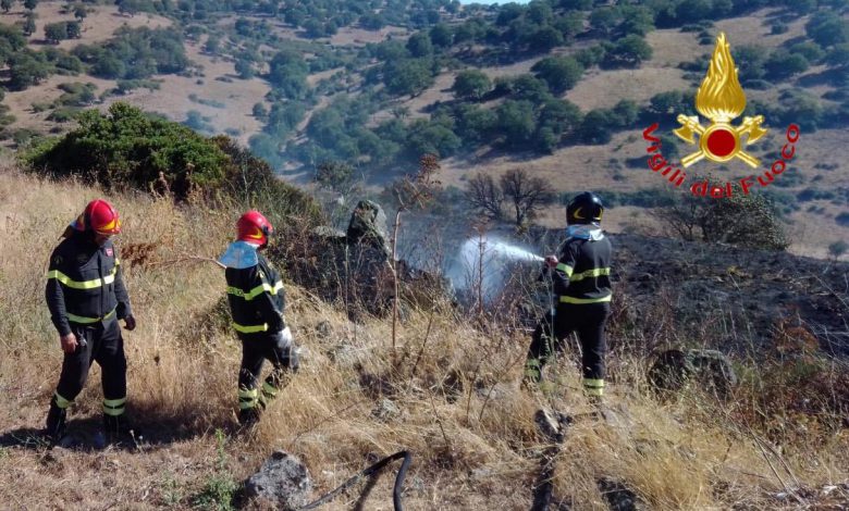 incendi incendio sardegna