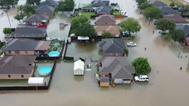 Photo of PAURA in MESSICO per la TEMPESTA HANNA