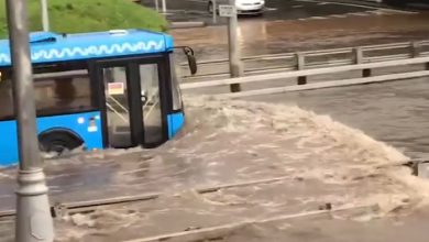 Photo of MOSCA SOMMERSA dall’acqua