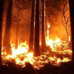Incendi in Siberia: la nube di fumo verso Canada e Stati Uniti