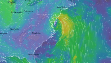 Photo of Usa, la TEMPESTA TROPICALE FAY punta dritta verso New York: la traiettoria