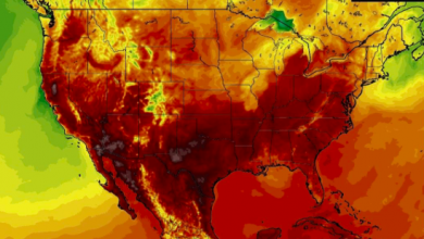 Photo of Usa, il CALDO record non dà tregua