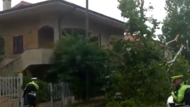 Photo of Forte NUBIFRAGIO ad ANCONA: alberi sradicati e allagamenti [VIDEO]
